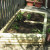 Another view of the raised bed. Another view of the raised bed.