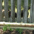 My basset hound is behind the fence in the backyard. My raised bed is located between the driveway and the fence. It gets the most sun here--that is important! My basset hound is behind the fence in the backyard. My raised bed is located between the driveway and the fence. It gets the most sun here--that is important!