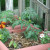 As you can see, I added flowers: marigolds and zinnias. As you can see, I added flowers: marigolds and zinnias.