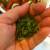Lemon thyme to sprinkle on top of the vegetables before baking Lemon thyme to sprinkle on top of the vegetables before baking