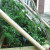 Side view so you can see that at least the raised bed garden is still there. Side view so you can see that at least the raised bed garden is still there.
