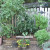 What a difference a season makes. My garden is not so pretty any more. What a difference a season makes. My garden is not so pretty any more.