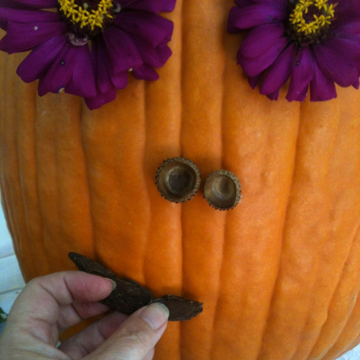 Walnut husks for a mouth for Mr. Pumpkin